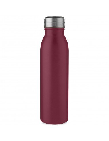 Harper 700 ml stainless steel sport bottle with metal loop