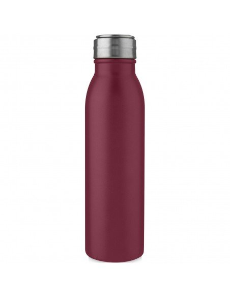 Harper 700 ml stainless steel sport bottle with metal loop