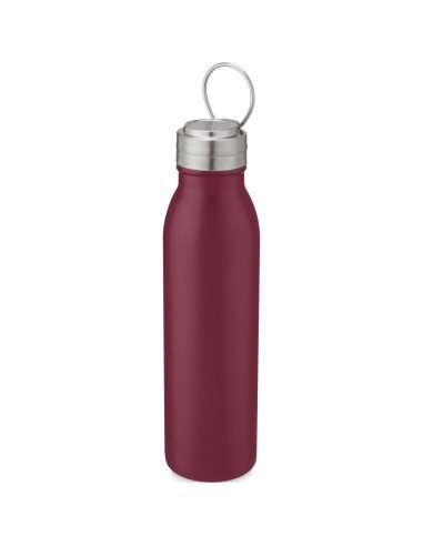 Harper 700 ml stainless steel sport bottle with metal loop