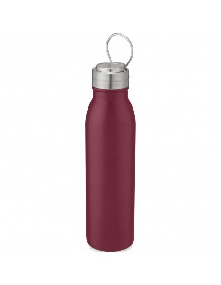 Harper 700 ml stainless steel sport bottle with metal loop