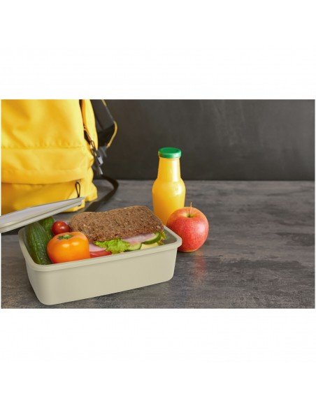 Dovi recycled plastic lunch box