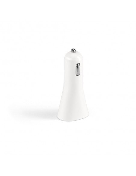 PAULING. Car charger