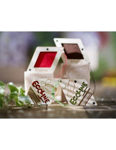 Automobilių kvapai Ecoline