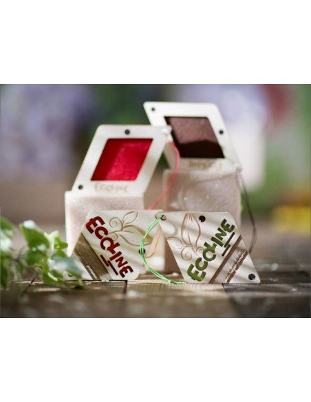 Automobilių kvapai Ecoline